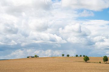 Champs de céréales dans la vallée de la Loire, France. sur Christa Stroo photography