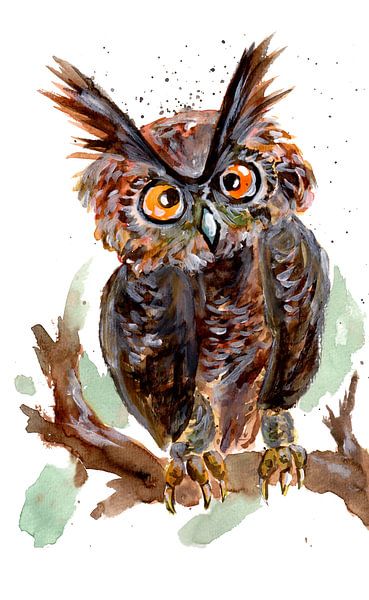 Petit hibou par Sebastian Grafmann