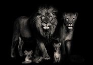 Familie Lions von Bert Hooijer Miniaturansicht