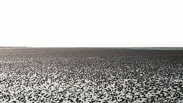 View of the dry mudflats near Sankt Peter-Ording by Rob Liefveld