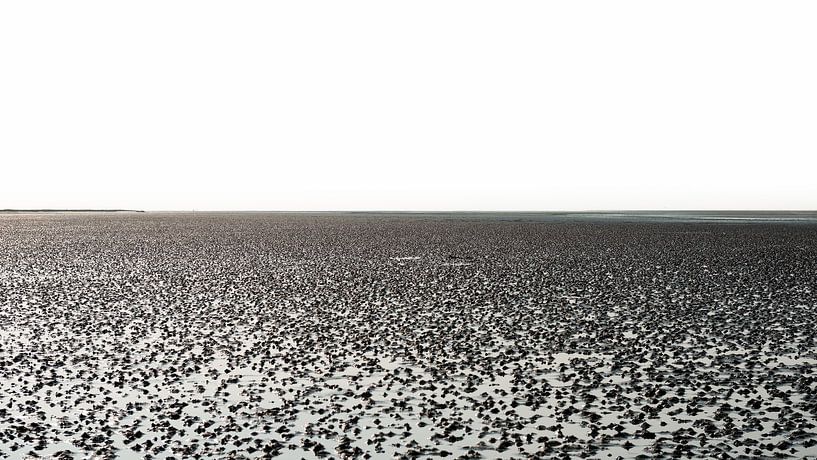 Blick auf das Wattenmeer bei Sankt Peter-Ording von Rob Liefveld