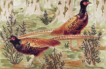 Ordinary pheasants, Maurice Pillard Verneuil