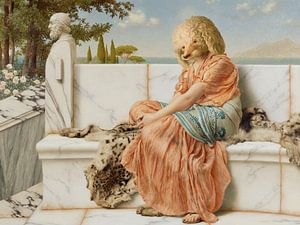 a Poodle's Reverie