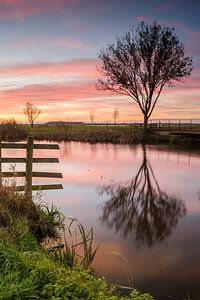 Stille