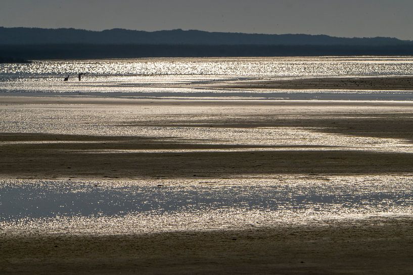 light litter over the wet sand on north Ameland by Hans Hut