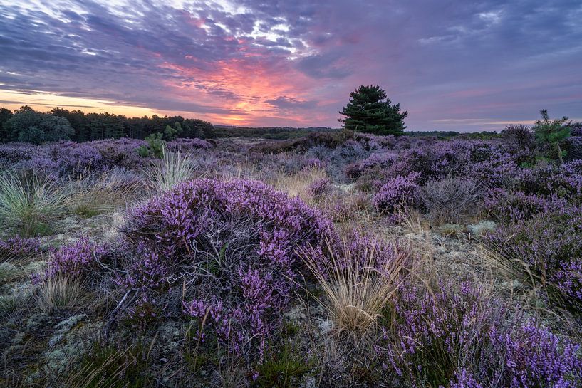 Zondag morgen.... van Peter Korevaar