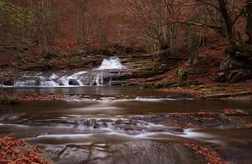 L'automne à Val Grande sur Sander van der Werf