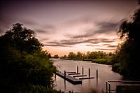 Uitzicht in de Biesbosch