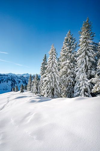Prachtig winterlandschap in de Allgäuer Alpen