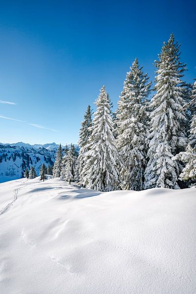 Beautiful winter landscape in the Allgäu Alps by Leo Schindzielorz