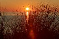 Coucher de soleil à Burgh Haamstede par gea strucks Aperçu