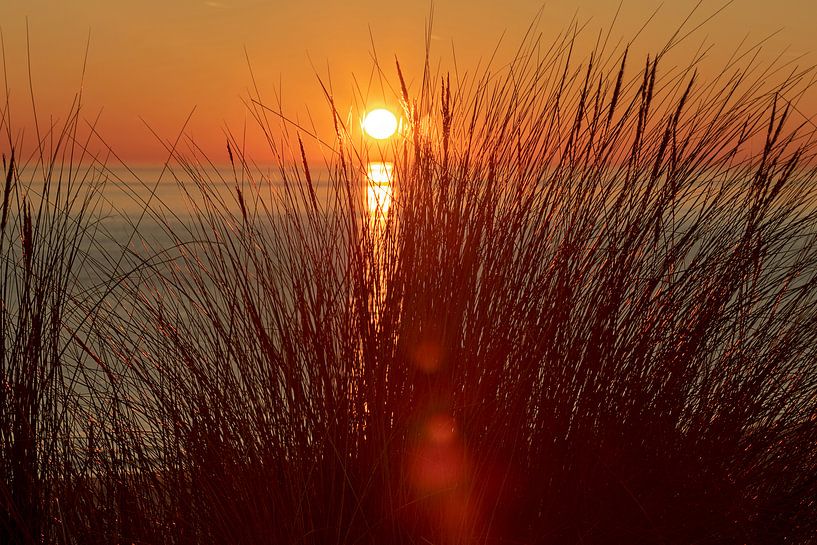 Coucher de soleil à Burgh Haamstede par gea strucks