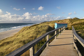 Promenade côtière dans un cadre verdoyant – Sentier à flanc de colline – Photographie sur Nordlicht Atelier
