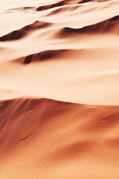 Zandvlakte van Walljar