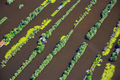 Netherlands, Breukelen. Excavated land in a wetland.