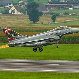 Eurofighter Typhoon van de Oostenrijkse luchtmacht. van Jaap van den Berg