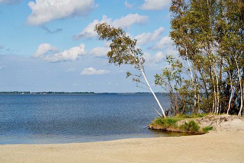 Bodstedter Bodden with view of Wieck am Darß by Reiner Würz / RWFotoArt