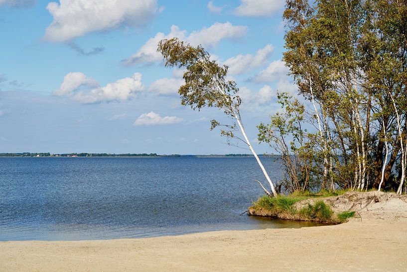 Bodstedter Bodden mit Blick auf Wieck am Darß von Reiner Würz / RWFotoArt