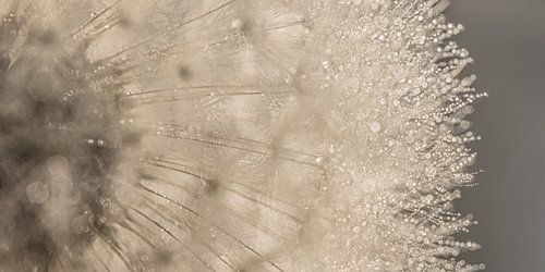 Abstract panorama door een de pluisjes en druppels heen kijken