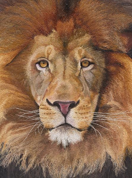 Koning leeuw portret van Russell Hinckley