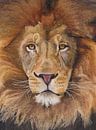 Koning leeuw portret van Russell Hinckley thumbnail