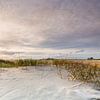 Vue de la dune de Saint-Pierre-Ording sur Ursula Reins
