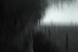 dromerig landschap van Studio Boterkoek