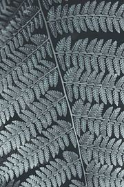 Retro-Bootsfahrten in Graustufen. Schwarz-Weiß-Naturfotografie. von Denise Tiggelman