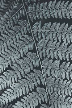 Retro varen in grijswaarden. Zwart-wit natuur fotografie. (gezien bij vtwonen)