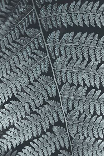 Retro boating in grayscale. Black and white nature photography.