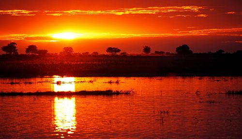 Afrikas Abende - wildlife