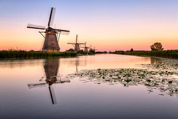 Windmills at sunset by Michael Bollen