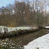 Panorama van de Grote Schijn in winters Rivierenhof van Kristof Leffelaer