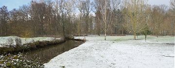 Panorama des Großen Scheins im winterlichen Rivierenhof von Kristof Leffelaer