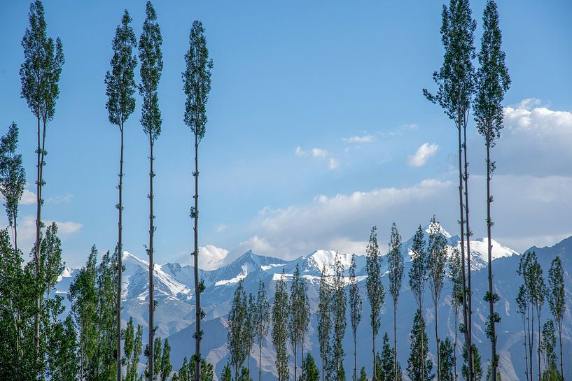 Himalaya, Ladakh, India van Jan Fritz