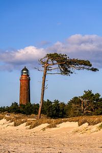Weststrand Halbinsel Fischland-Darß