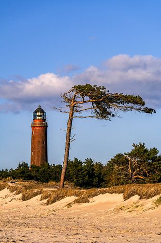Weststrand Peninsula, Fischland-Darß