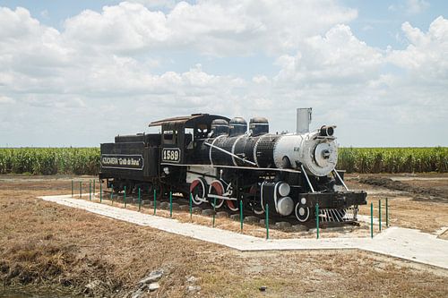 Eine Lokomotive inmitten des Zuckerrohrs.