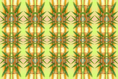 Bamboe patroon