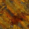 Autumn colors von Andreas Wemmje