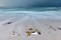 Lofoten 