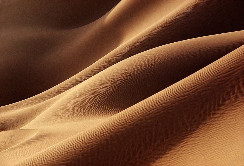 Dunes de sable dans le désert du Sahara par Frans Lemmens