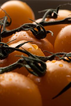Tomatoes by Daisy de Fretes