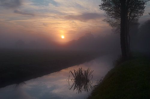 Beemster morgen von Remco Schoonderwoert