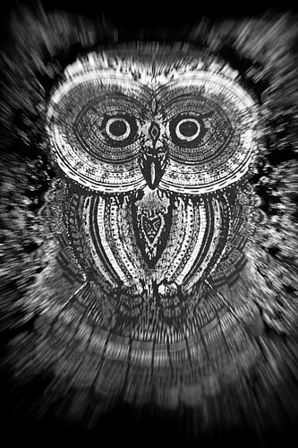 Dynamische Kunst einer Eule in Schwarz und Weiß