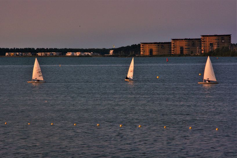 Zeilen op het Ijsselmeer by David van Coowijk