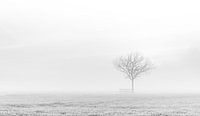 Lonely tree by Ellen van den Doel thumbnail