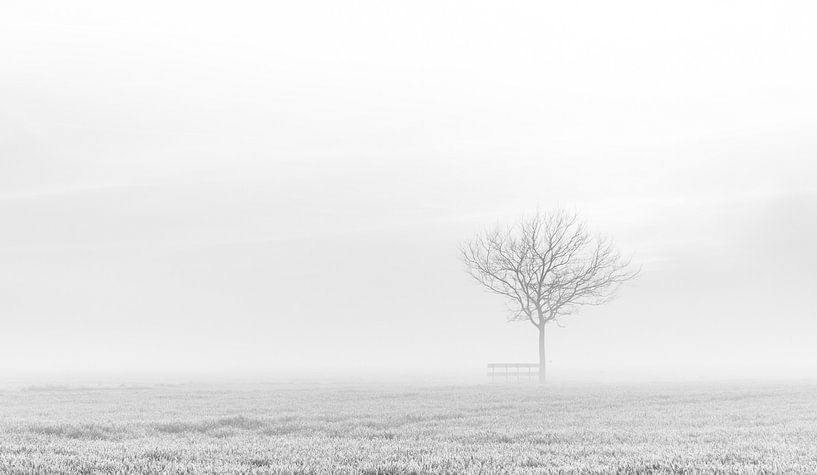 Lonely tree by Ellen van den Doel