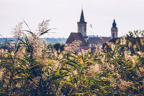 Rust am Neusiedlersee (Burgenland, Oostenrijk)