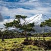 Le volcan Pico sur l'île de Pico Açores sur Lex van Doorn
